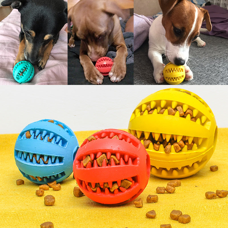 Slow Feeder Ball
