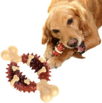 Molar Chew Toy