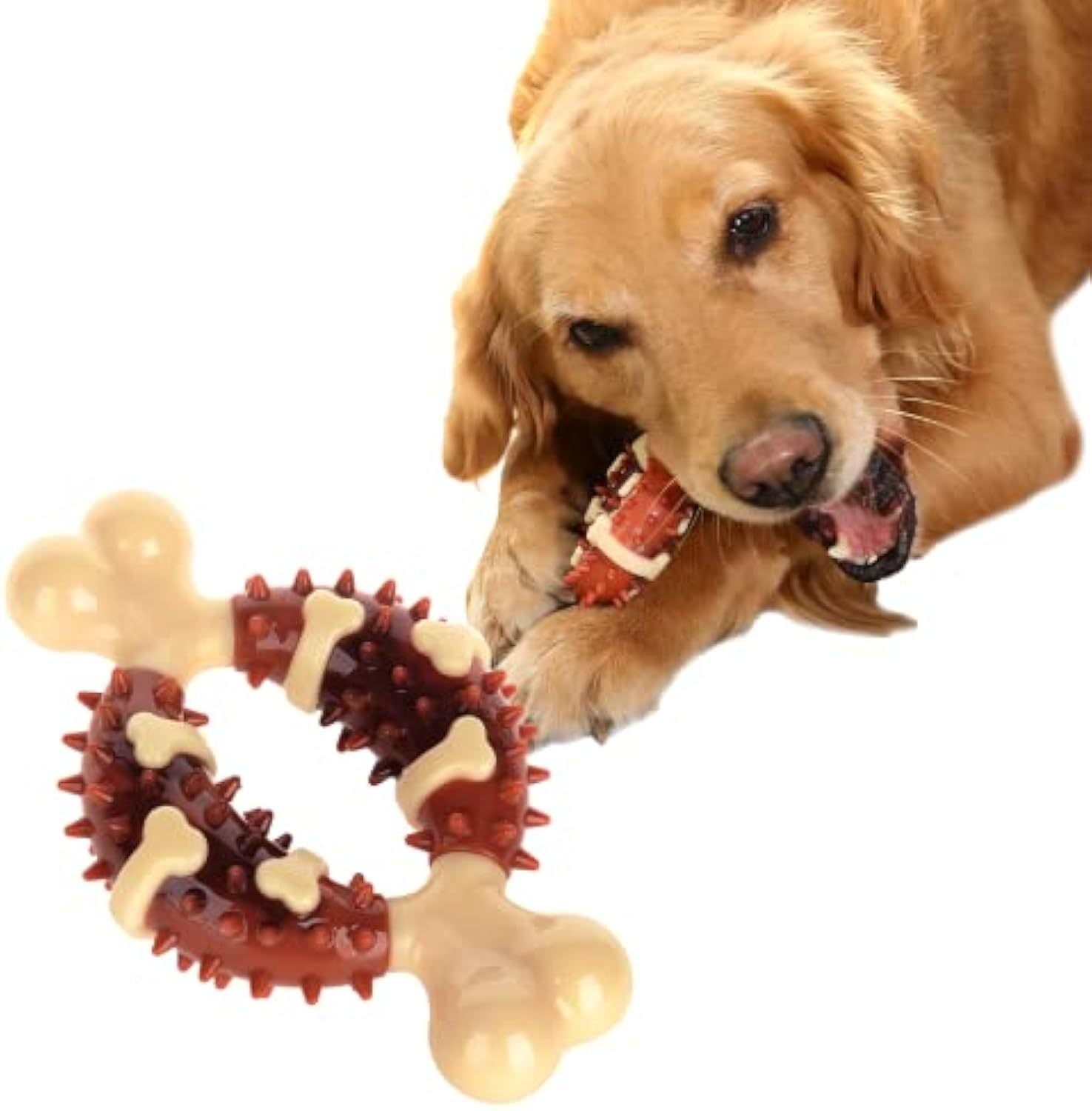 Molar Chew Toy