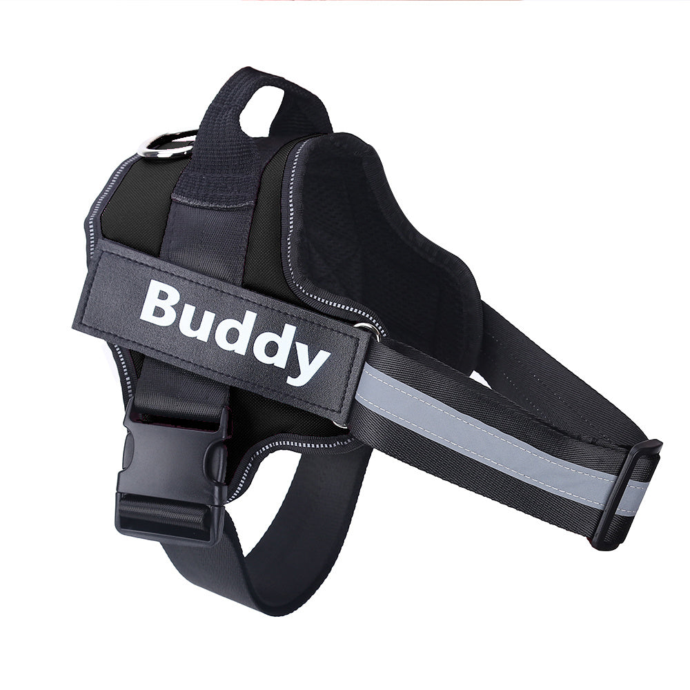 Personalised Reflective Harness