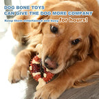 Molar Chew Toy