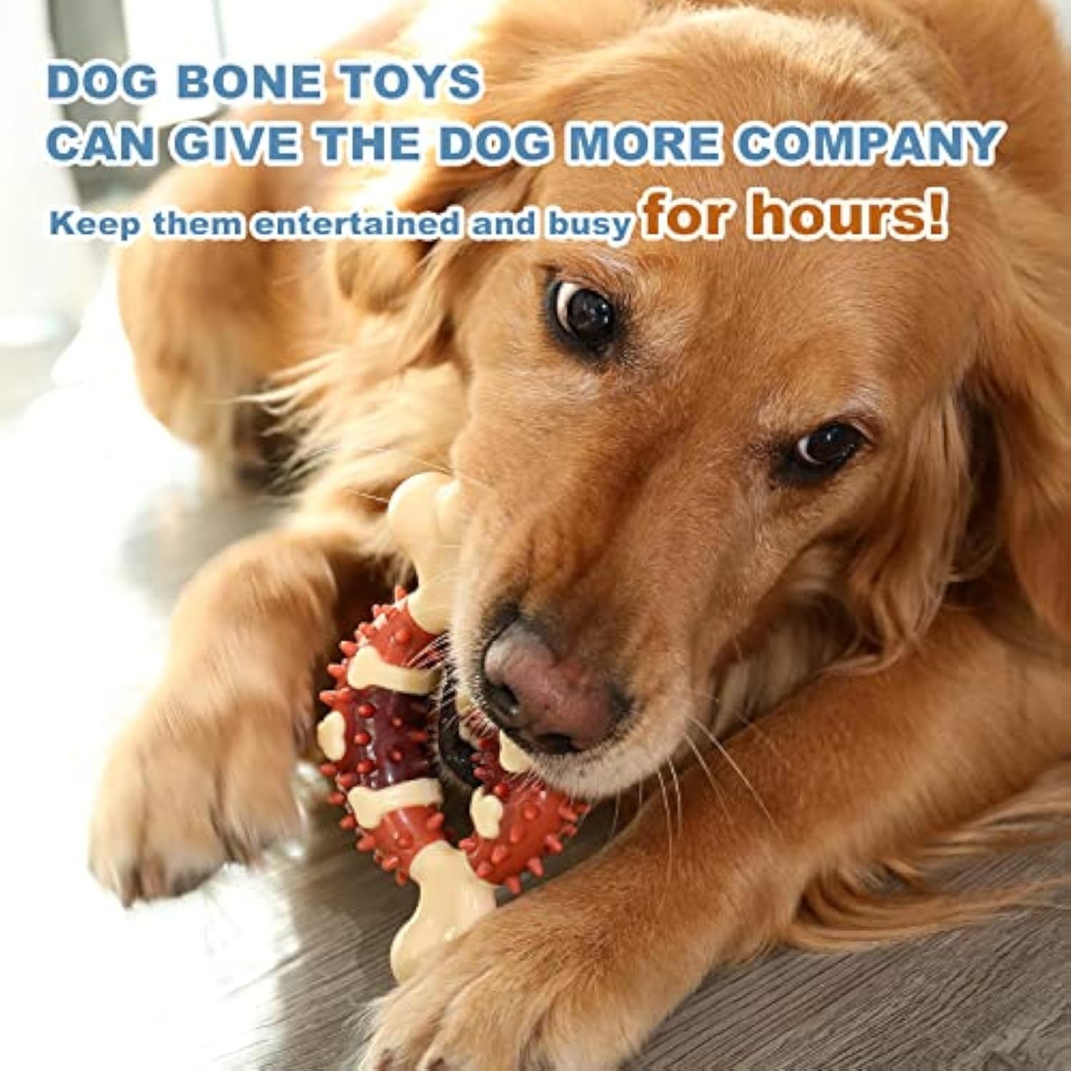 Molar Chew Toy