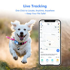 Real-Time Pet Tracker