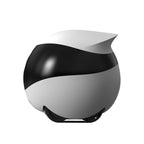 Mobile Pet Camera