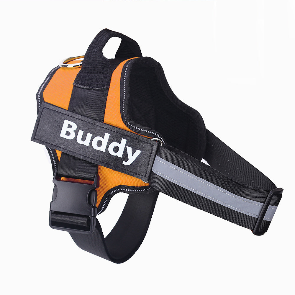 Personalised Reflective Harness