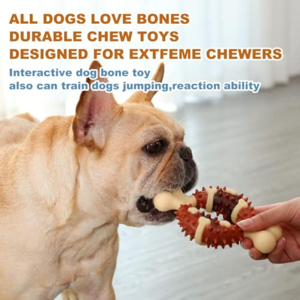 Molar Chew Toy