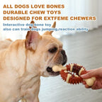 Molar Chew Toy