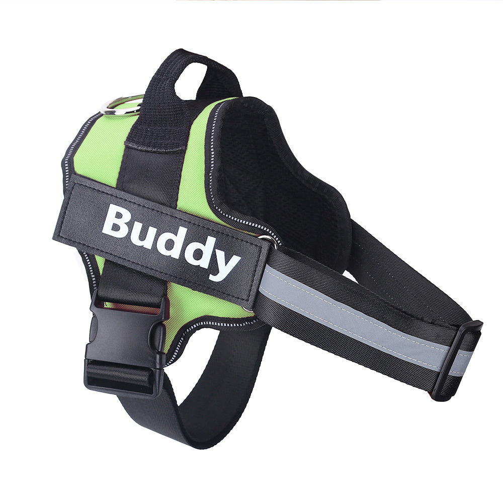 Personalised Reflective Harness