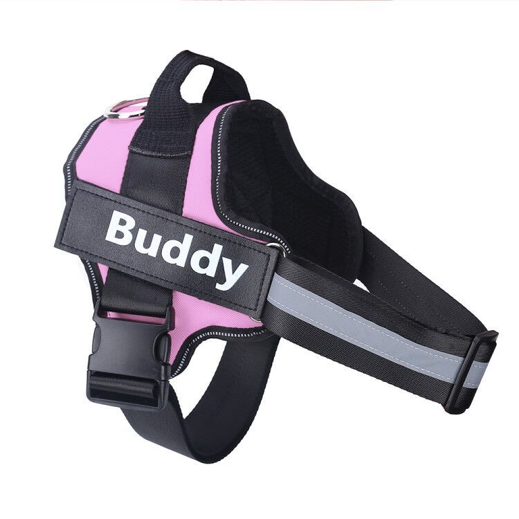 Personalised Reflective Harness