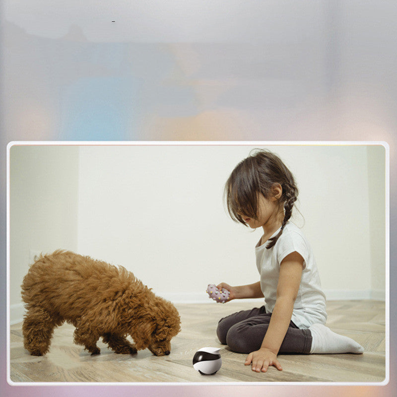 Mobile Pet Camera