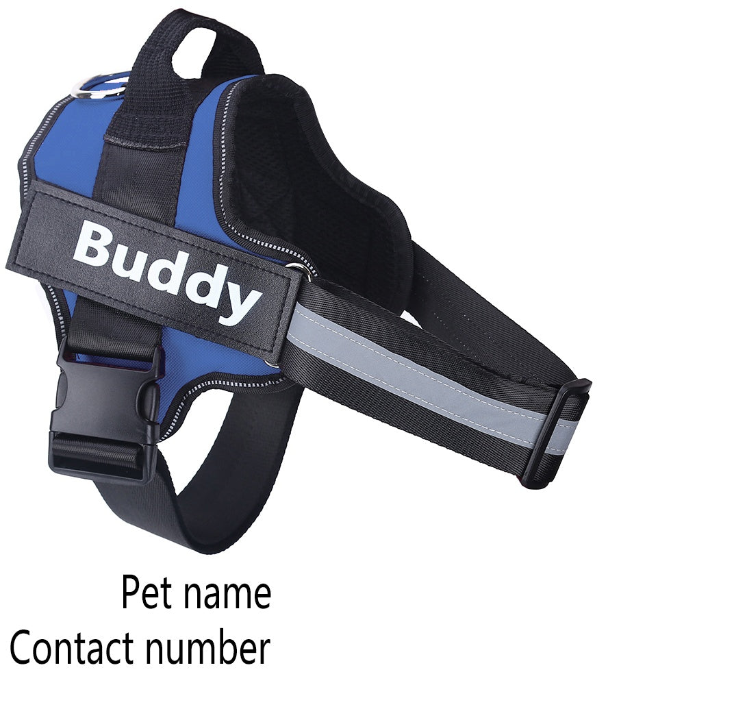 Personalised Reflective Harness