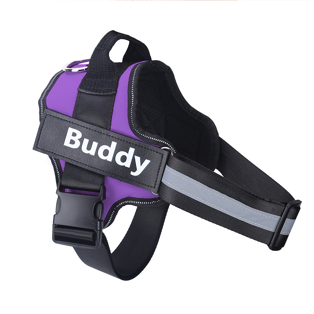 Personalised Reflective Harness