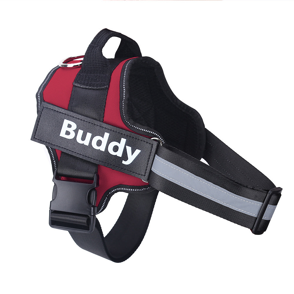 Personalised Reflective Harness