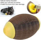 Catnip Football