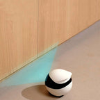 Mobile Pet Camera