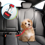 Car Safety Belt