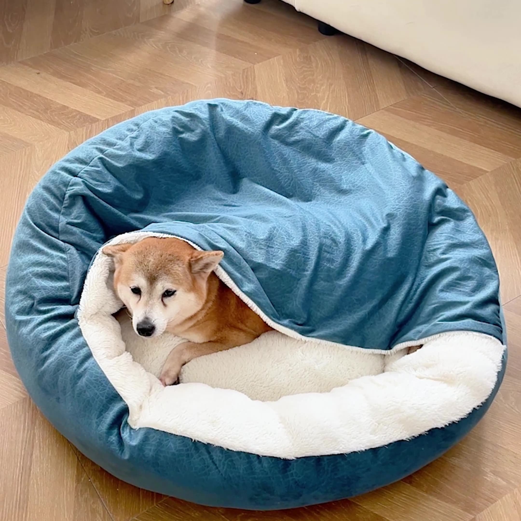 Hooded Orthopedic Bed