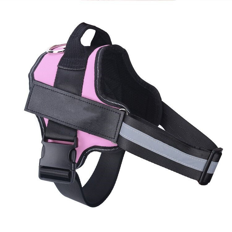 Personalised Reflective Harness