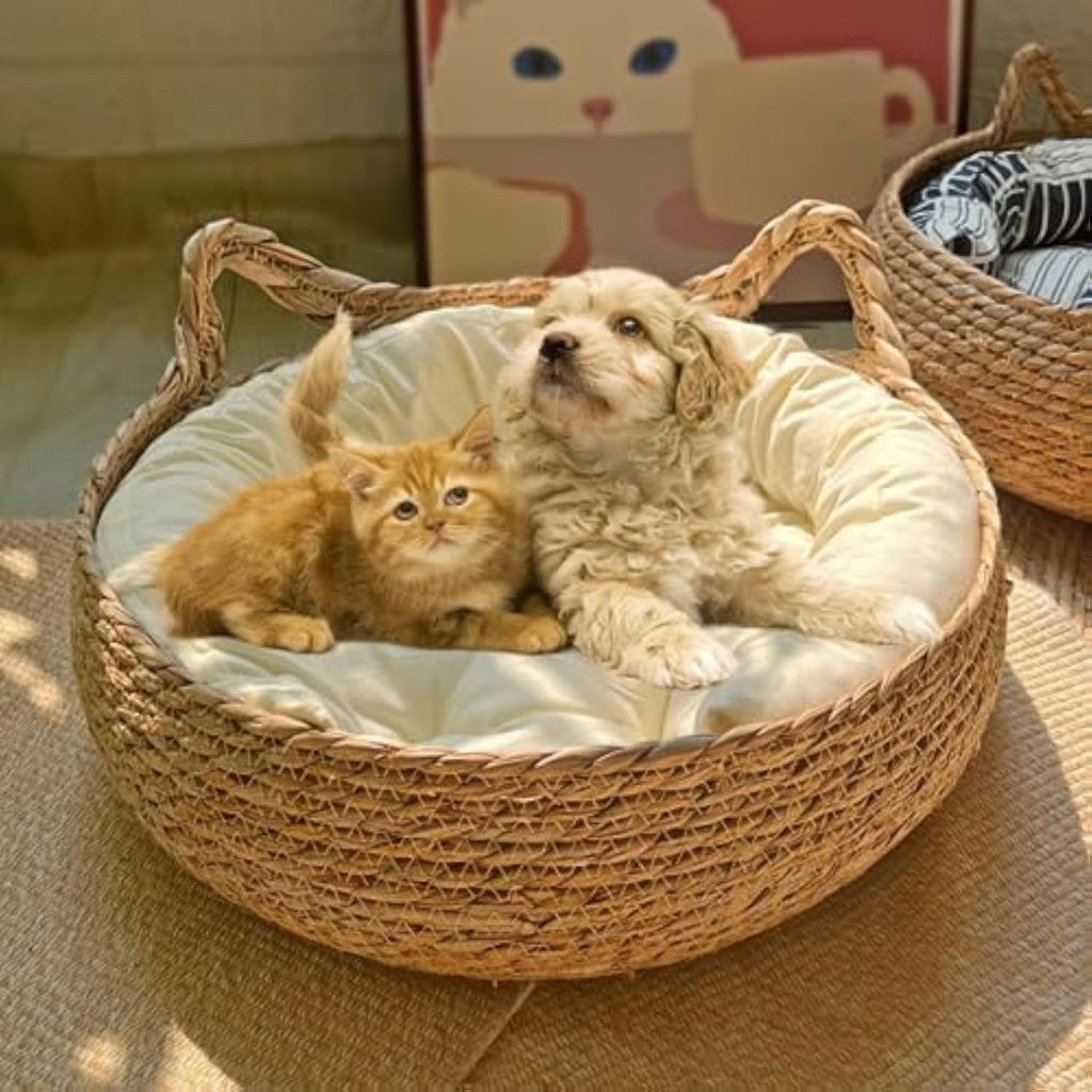 Woven Cat Nest