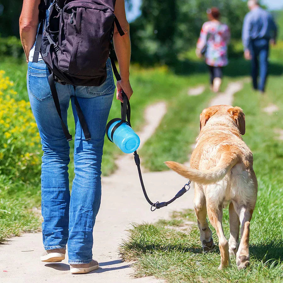 Travel Water Bottle