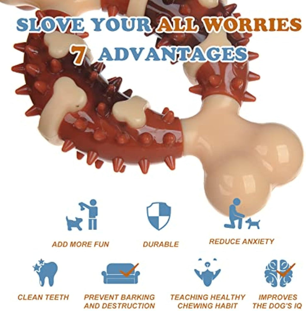 Molar Chew Toy