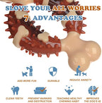 Molar Chew Toy