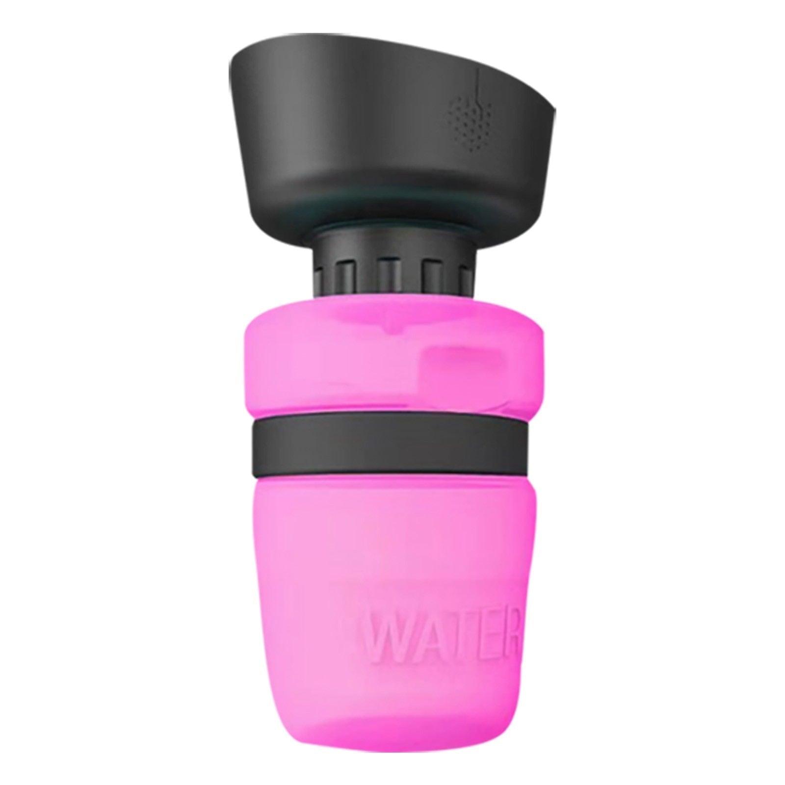 Travel Water Bottle