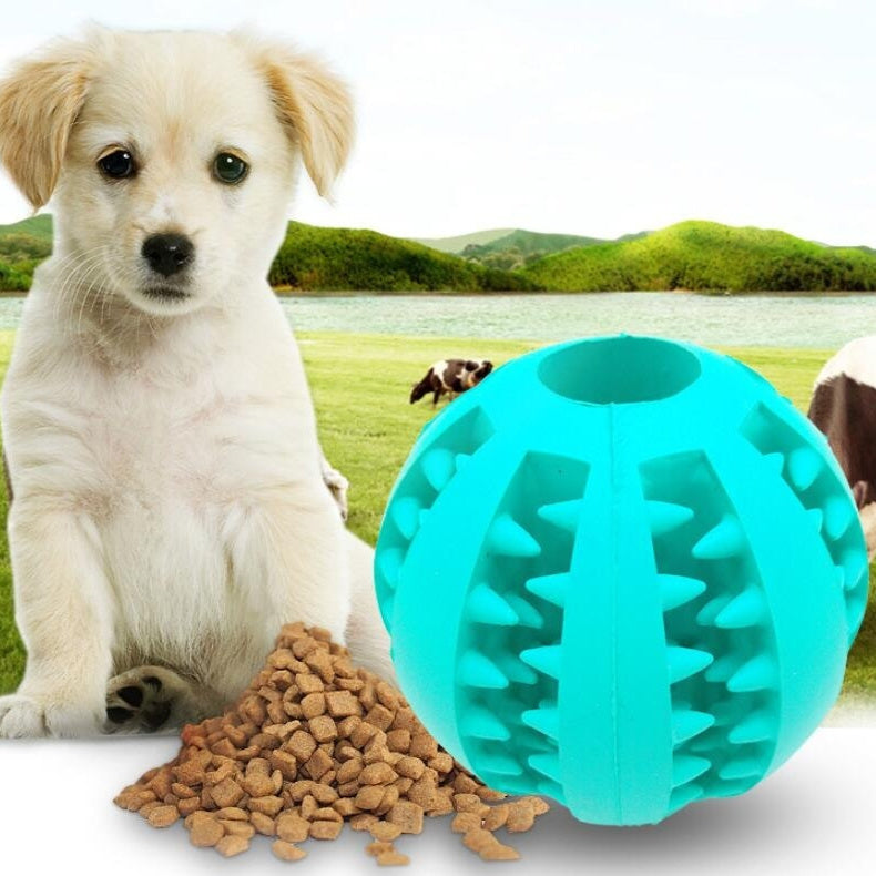 Slow Feeder Ball