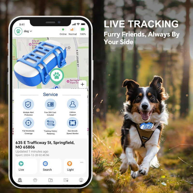 Real-Time Pet Tracker