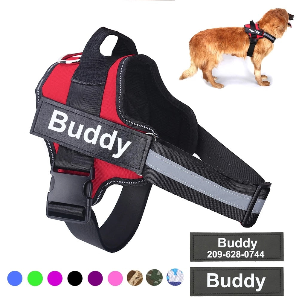Personalised Reflective Harness