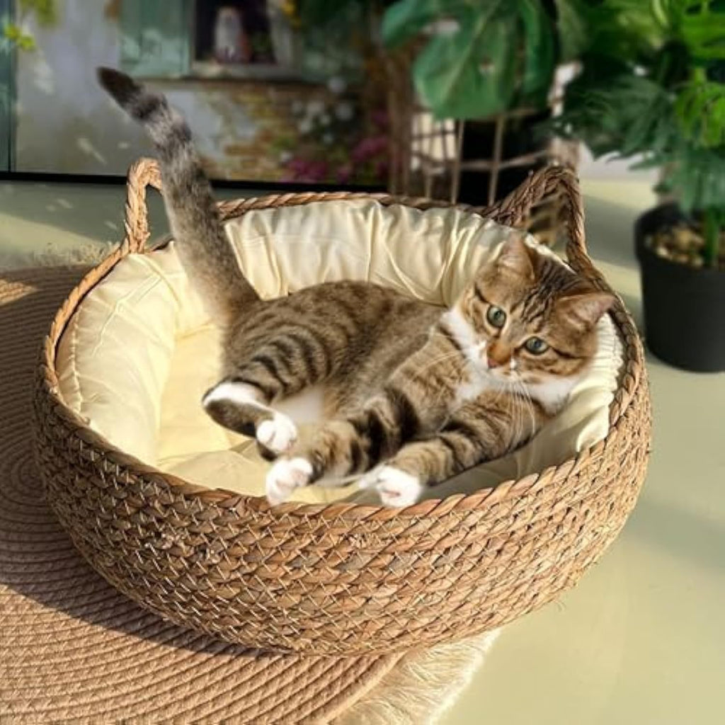 Woven Cat Nest