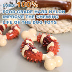 Molar Chew Toy