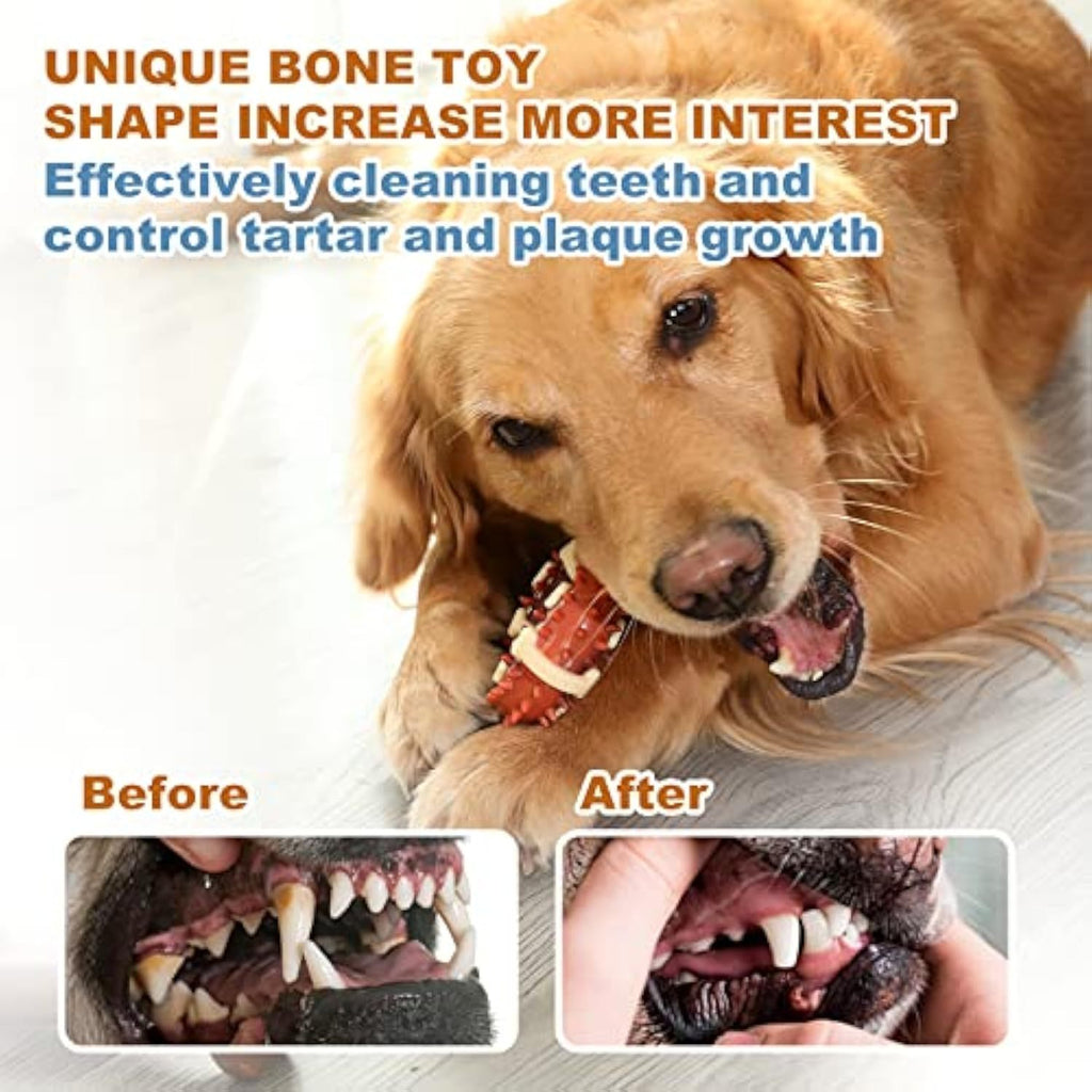 Molar Chew Toy