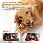 Molar Chew Toy