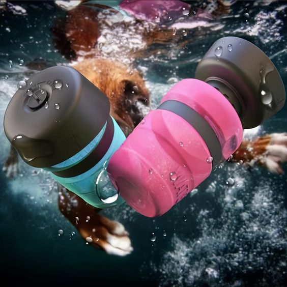 Travel Water Bottle