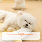 Pet Couch Bed