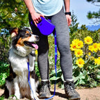Dog Leash & Bottle