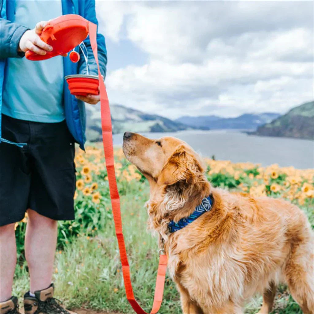 Dog Leash & Bottle